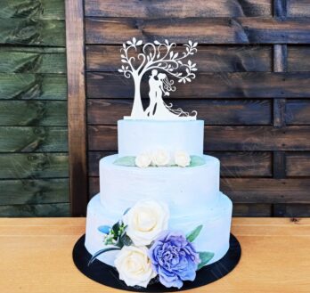 {{brizy_dc_image_alt entityId=